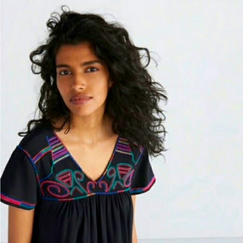 Madewell Color Stitch Silk Embroidered Mini Dress